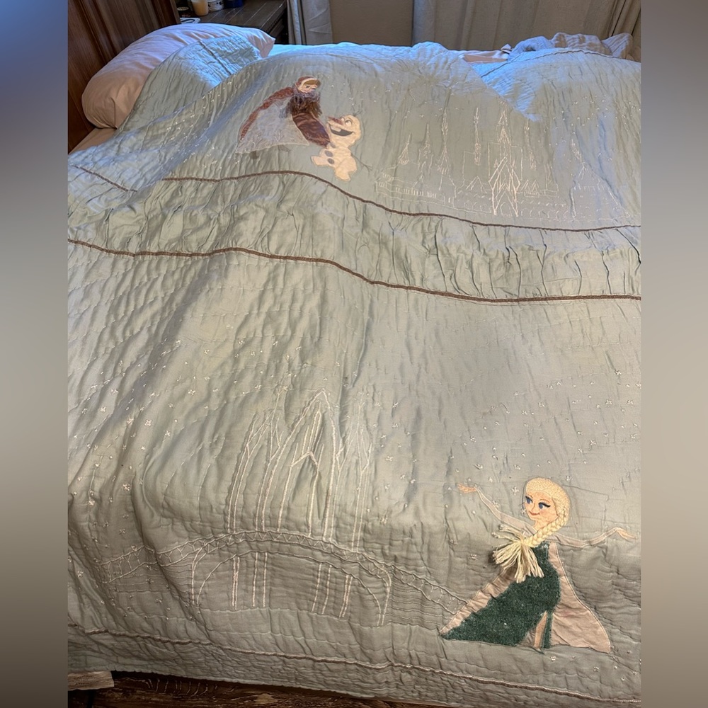 Pottery Barn twin Frozen print quilt and skirt